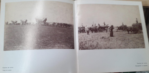 Francisco Ayerza- Fotografias- 1860 -1901 .b. Artes, 1987 (Usado)