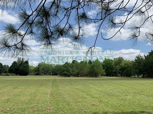 Imagen 7 de 7 de Excelente Terreno 4166m2 - La Escondida Manzanares Pilar