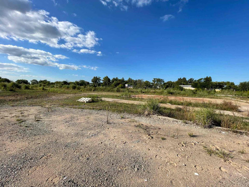 Imagen 6 de 9 de Venta Terreno Industrial Dique Lujan
