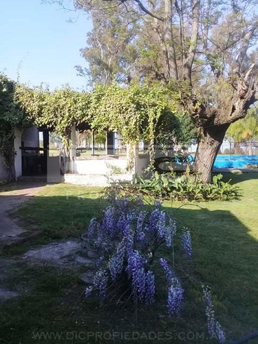 Casa 6 Ambientes En Campo De 3 Hectareas Piscina Quincho En Victoria Prov. De Entre Rios