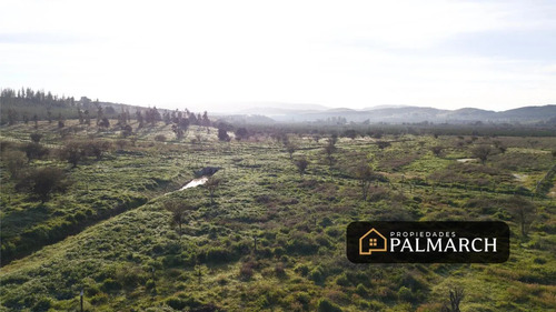 Parcelas En Venta En Ninhue Región De Ñuble