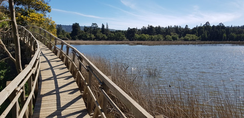 Imagen 6 de 30 de Oferta Terreno En Laguna Torca Lago Vichuquén