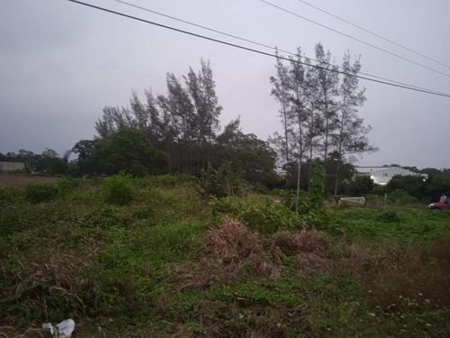 Terreno Renta 1358m² Carr Tuxpan Tamiahua En Tuxpan Veracruz