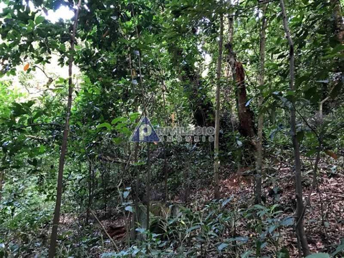 Imagem 7 de 17 de Terreno No Cosme Velho - 12131