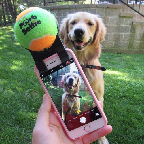 La Mejor Selfie De Perros Pooch Selfie: El Original Selfie S