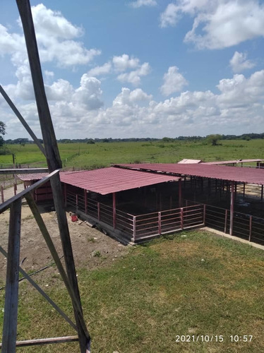 Imagen 2 de 24 de Finca En Barinas A Orilla De La Carretera
