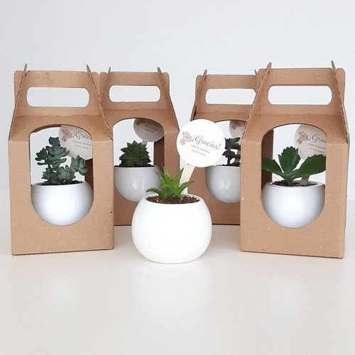 Imagen 5 de 5 de Regalos, Recuerdos Personalizados Naturales Suculentas Ofert