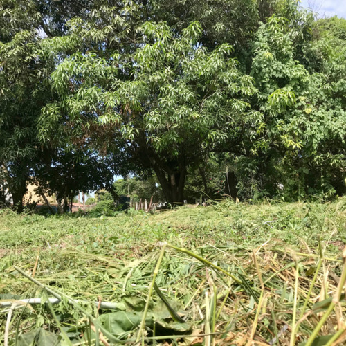 Terreno En Venta Yuto - Esquina, 500m2 -