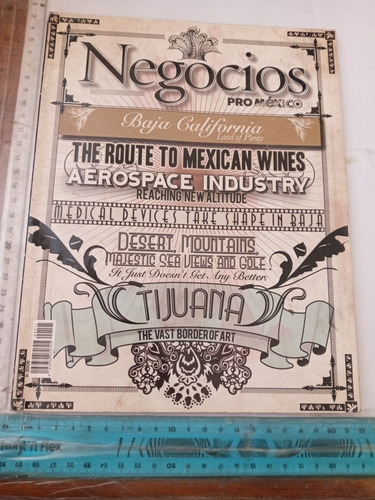 Revista Negocios Proméxico No 211 Octubre 2009 (us) 