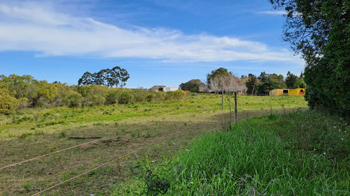 Vendo Campo 200 Mts De Frente Ruta 1