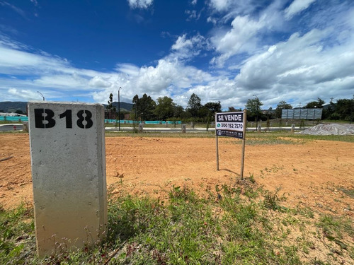 En Venta Lotes Urbanos La Ceja