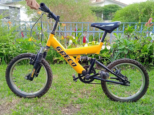 Bicicleta Rin 16 Para Niños O Niñas 