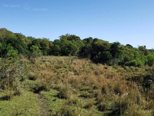 Imagen 14 de 15 de Campo Ganadero En San Jose De 126 Ha, Sierra De Mahoma, Ganadero