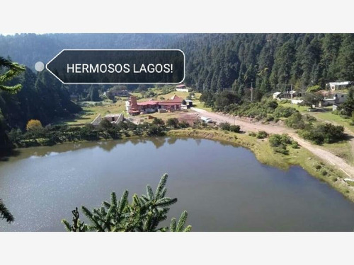 Imagen 6 de 10 de Terreno En Venta Tu Terreno En Mágico Bosque, Con Amenidades