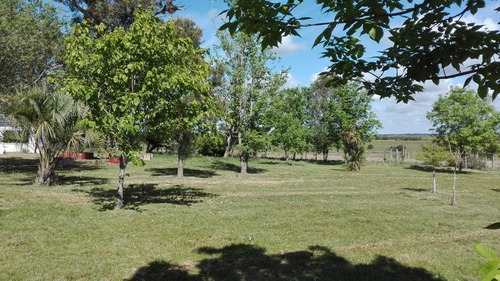 Excelente Campo En Canelones Sobre Ruta 5, 150 Has Agricolas.