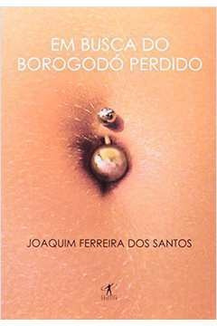 Livro Em Busca Do Borogodó Perdido - Joaquim Ferreira Dos Santos [2005]