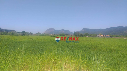 Imagem 11 de 12 de Terreno Para Alugar, 13610 M² Por R$ 42.000,00/mês - Jardim Atlantico - Maricá/rj - Te0038