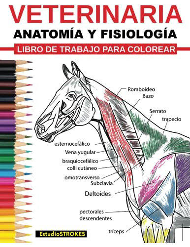 Libro : Veterinaria Ibro De Trabajo Para Colorear Anatomia 