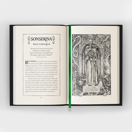Harry Potter E A Pedra Filosofal Capa Dura Sonserina Exclusivo, De J.k. Rowling. Editora Rocco, Capa Dura Em Português