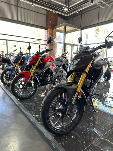 Honda Cb 300 F Twister - Paperino
