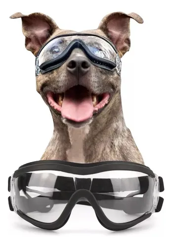 comprar Lentes De Sol Uv A Prueba De Viento Para Mascota
