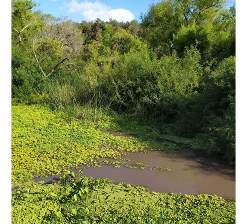 Vendo 14 Has Con Costa Al Arroyo Canelón Grande, Casa Amplia, 2 Galpones, Buen Pozo, Consulte