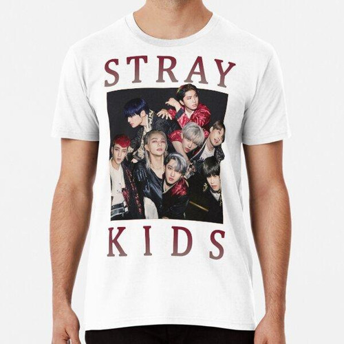 Remera Stray Kids Vintage Retro Band Style 90s In Life Algod