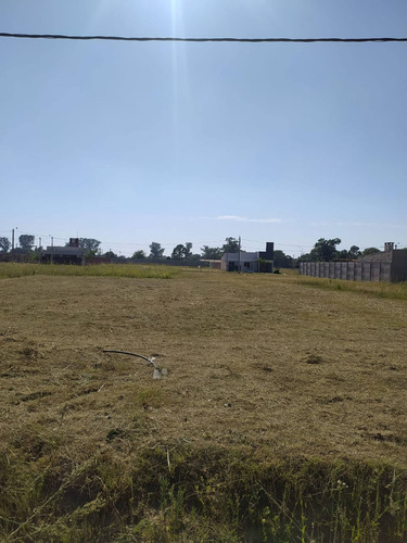 Imagen 5 de 5 de Lote Nº 97, En Venta, Loteo Los Naranjos, Rqta