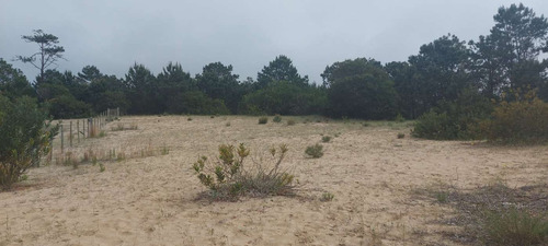 Terreno Muy Alto A La Venta En Punta Del Diablo