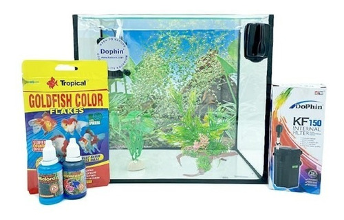 Kit Acuario 14 L Con Tapa + Filtro + Accesorios + Alimento