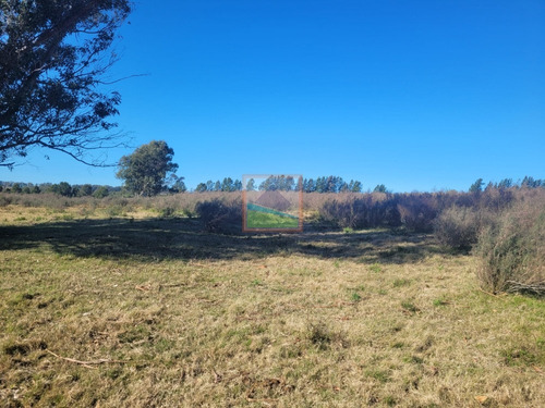 Imagen 5 de 20 de 33 Hás De Campo Lavalleja