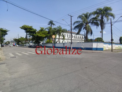 Imagem 7 de 19 de Terreno - Te00007 - 70544610