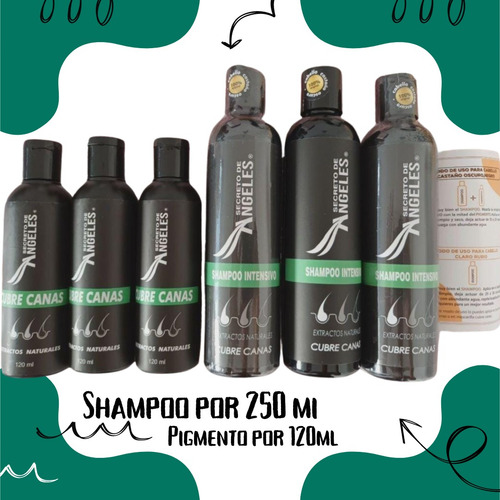 Shampoo & Capsulas Anti Canas