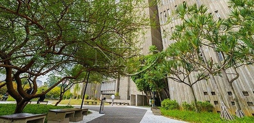 Imagem 8 de 15 de Edificio Sao Luiz | Npi Imoveis - L-105865