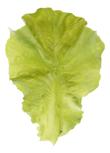 Artificial Realista Falsa Verdura Lechuga Modelo Decoración