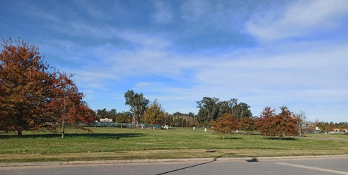 Oportunidad - Lote En Barrio La Reserva Escondida , Area 60, Sup. 2478 M2, Enorme. (como Si Fueran 4 Lotes De 600 M2, Pero Es Uno Solo)