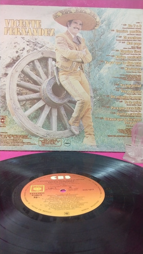 Acetato Vinil 15 Nuevos Exitos Vicente Fernandez