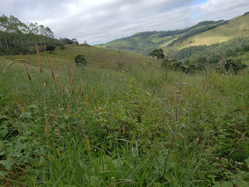 Sitio Em Caldas M G