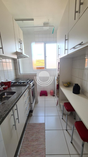 Imagem 9 de 11 de Apartamento À Venda Em Vila Ipê - Ap007928