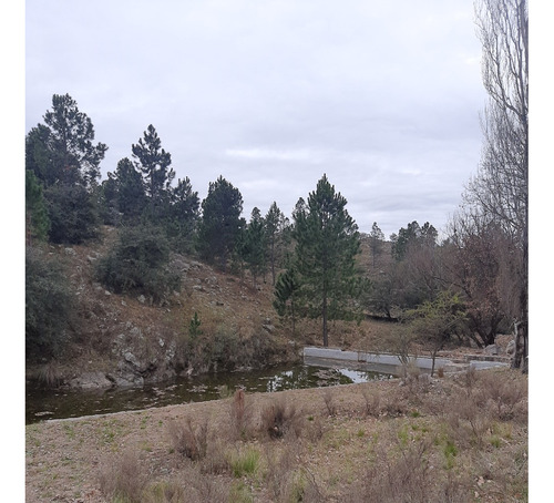 Campo De 3 Y 4 Hectáreas Con La Posibilidad De Construir Para Proyecto Turístico, Y Holístico, Hermosa Arboleda De Pinos Y Paisaje Extraordinario, Tranquilidad Y Naturaleza, Estanques Naturales