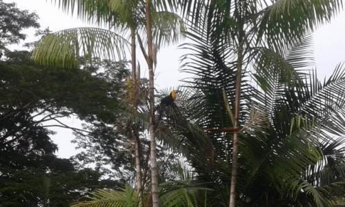 Imagem 8 de 14 de Casa Om 900 Metros Do Mar Em Itanhaém - 3729 | A.c.m