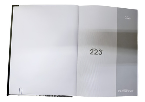 Agenda Morgan 223 Semanal 2025 (16,5 X 22,5 Cm) Portada Negro
