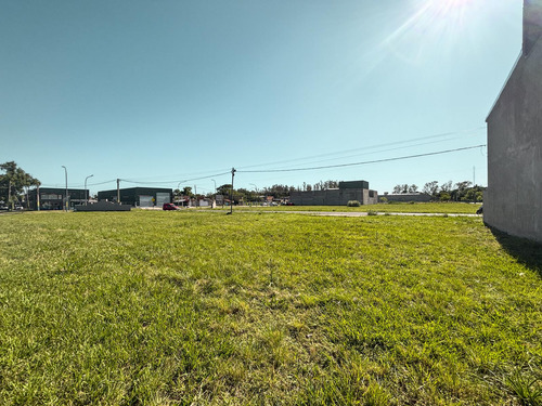 Terreno Residencial Sobre Calle Principal De Barrio Tango