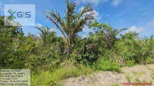 Imagem 12 de 14 de Fazenda À Venda, 2.019,2237 Ha Por R$ 1.600.000 - Br-308 - Mirinzal/ma - Fa0014