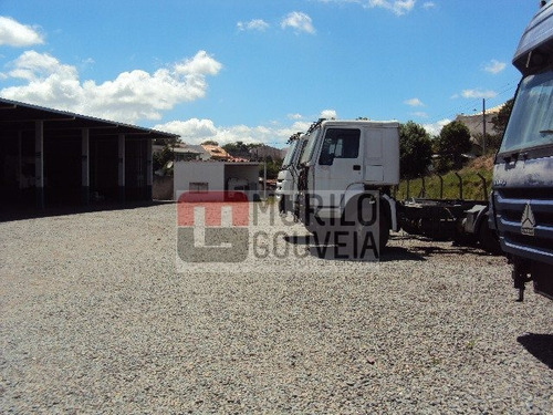 Imagem 20 de 27 de Área À Venda, Pinheirinho, Curitiba. - Pr - Te0099_gouv