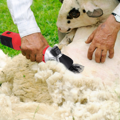 Tijeras Eléctricas Profesionales De Granja Para Cortar Lana