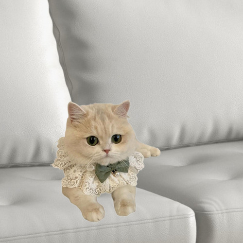 Collar De Encaje Para Gato, Bufanda Para , Accesorios De