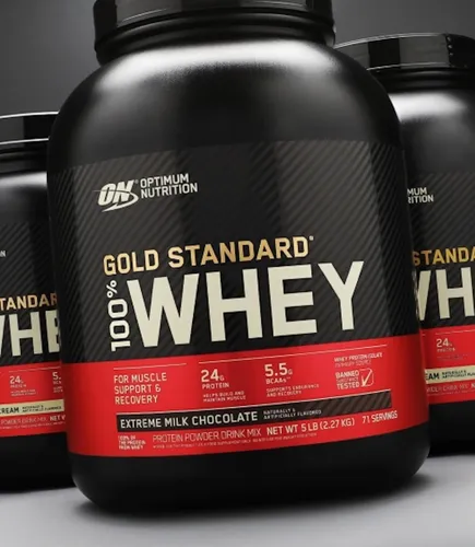 On Whey Gold Standard Double Rich Chocolate 5 Lb