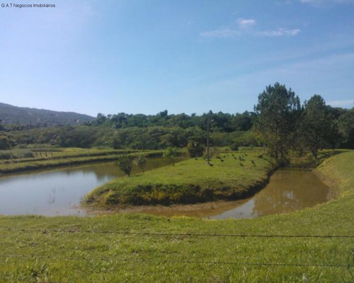 Imagem 7 de 18 de Chacara, Venda, 5 Km De Araçoiaba Ou Capela - Araçoiabainha/sp - Ch00574 - 34205926