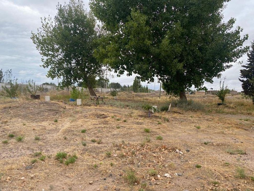 Imagen 7 de 15 de Chacra. Ciudad Industrial. Pin. Galpón. 1,8 Hectáreas. Neuquén. Alquiler